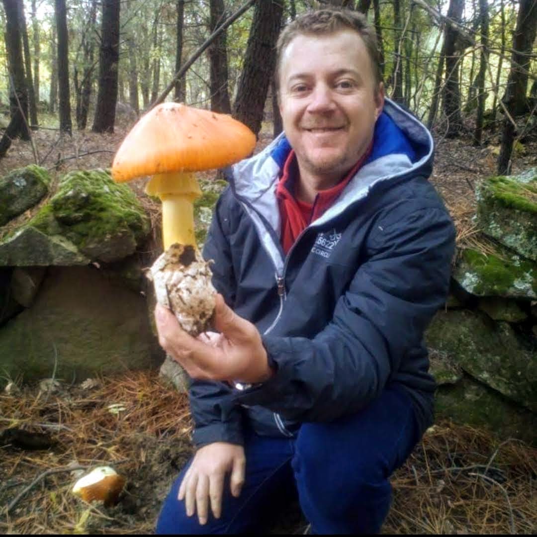 Antonio Hernández – Especialista en micología