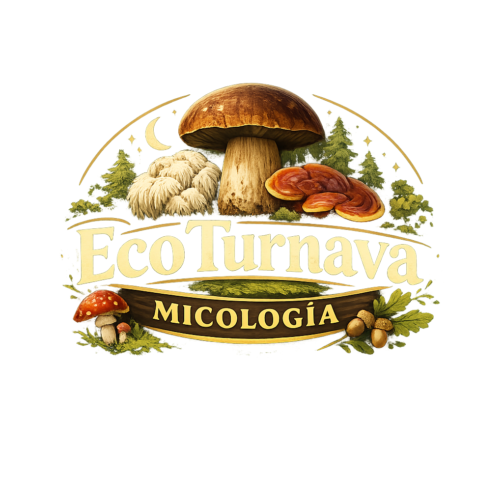 ecoturnava.com