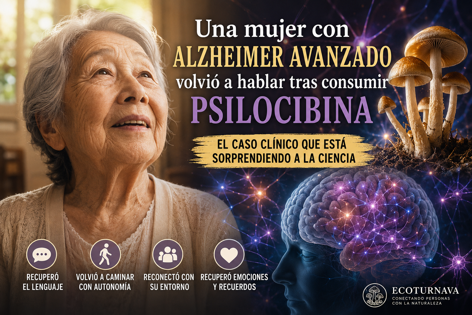 Psilocibina y Alzheimer Avanzado: El Caso Clínico de 2026 que Sorprende a la Ciencia.